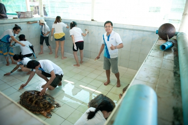 cleaning basins