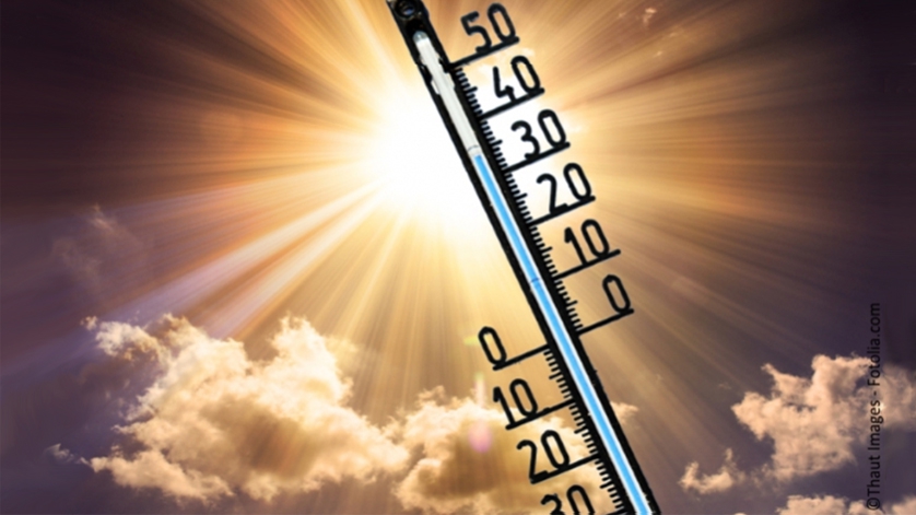 thermometer in sunlight