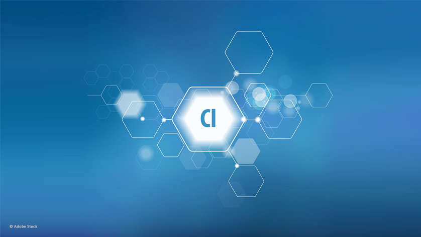 Diaphragm seal systems are the ideal solution for pressure measurement in chlorine production.