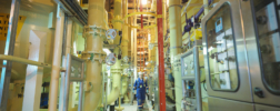 Traps in nuclear power plants: More than a standard component