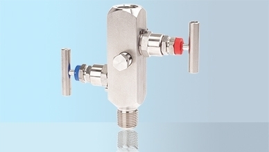 Manifold type IV20