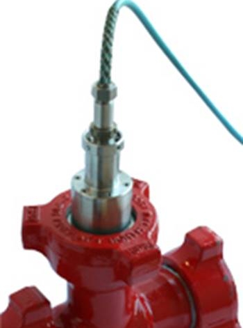 Hammer Union Pressure Transmitter